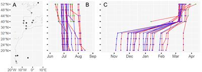 Variation From an Unknown Source: Large Inter-individual Differences in Migrating Black-Tailed Godwits